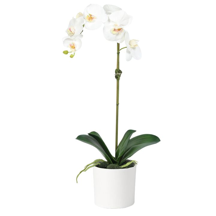 Artificial Orchid Plant in Vase - 20"