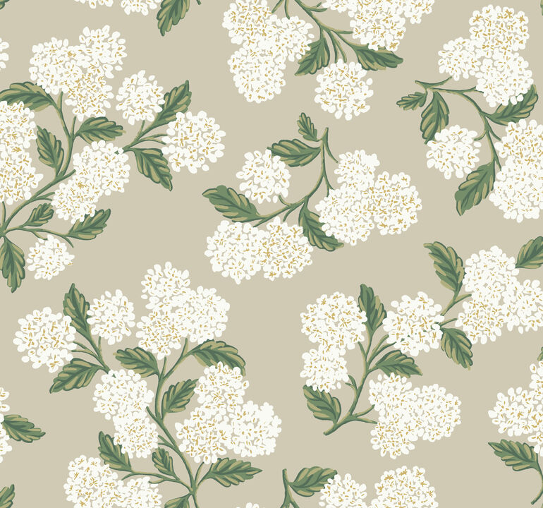 Hydrangea Beige Wallpaper