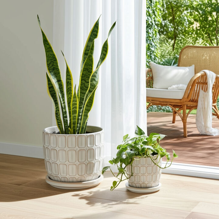 Squoval Saucer Planter (Set of 2)