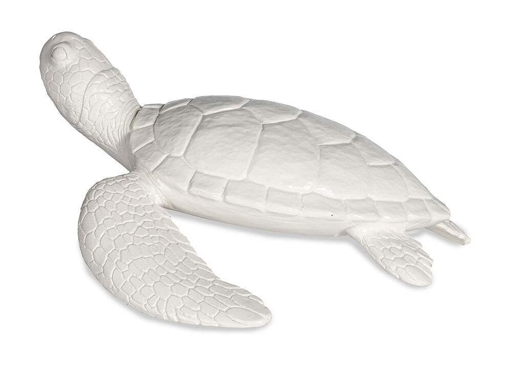 White Shelldon Tortoise Accessory