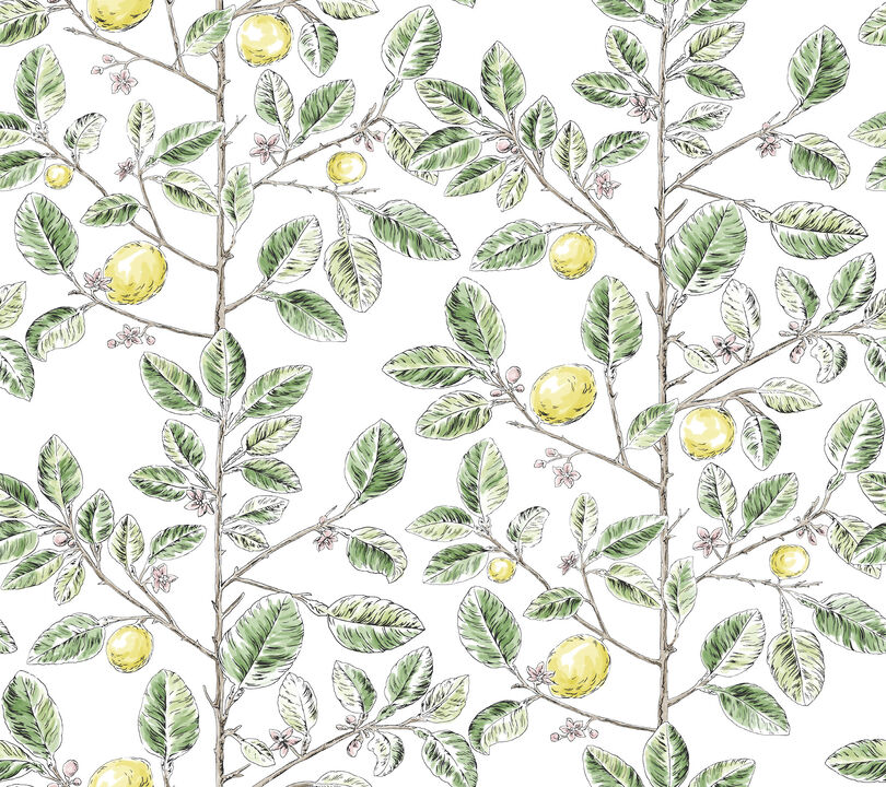 Limoncello Toile Green Wallpaper