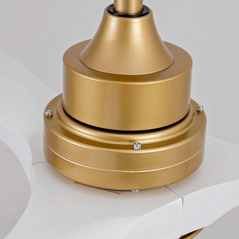 Modern Ceiling Fan image number 7