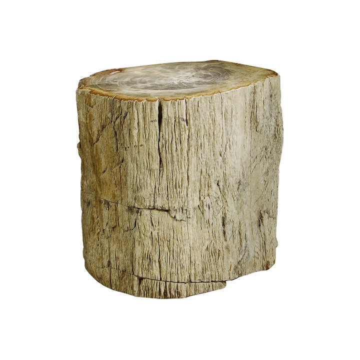 Interiors Petrified Accent Table