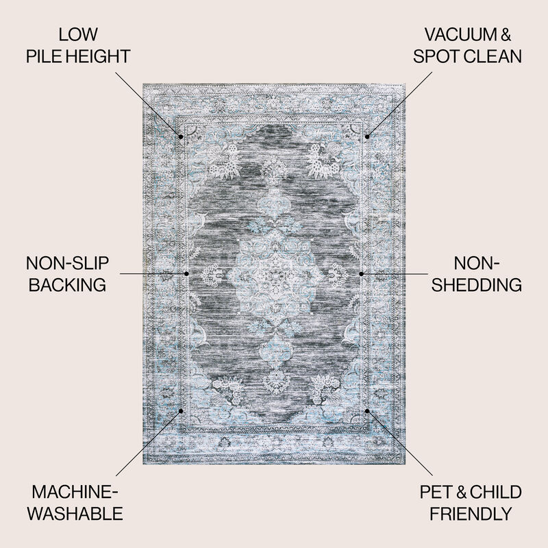 Bausch Bohemian Distressed Chenille Machine-Washable Area Rug