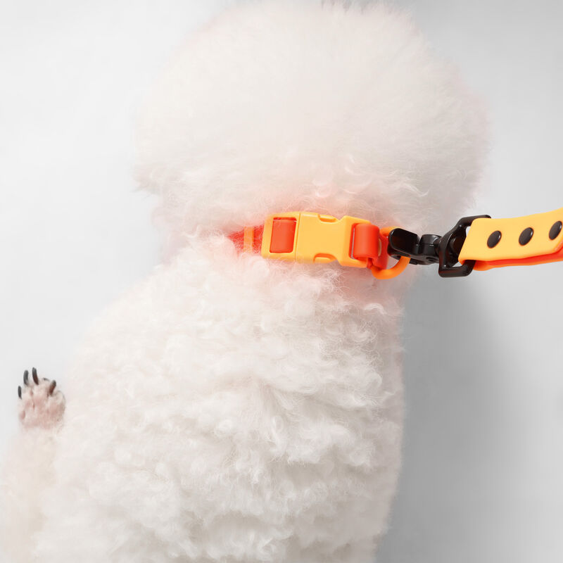 Luna  Adjustable 6-in-1 Waterproof Hands-Free Leash and Collar with LED Flashlight