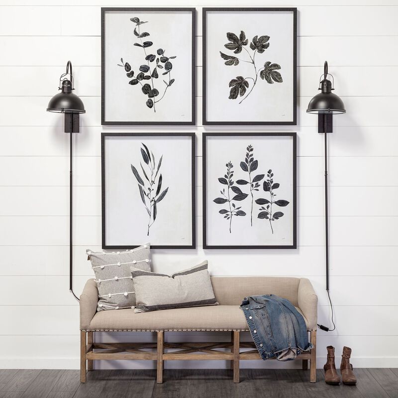 Botanical Study III image number 1