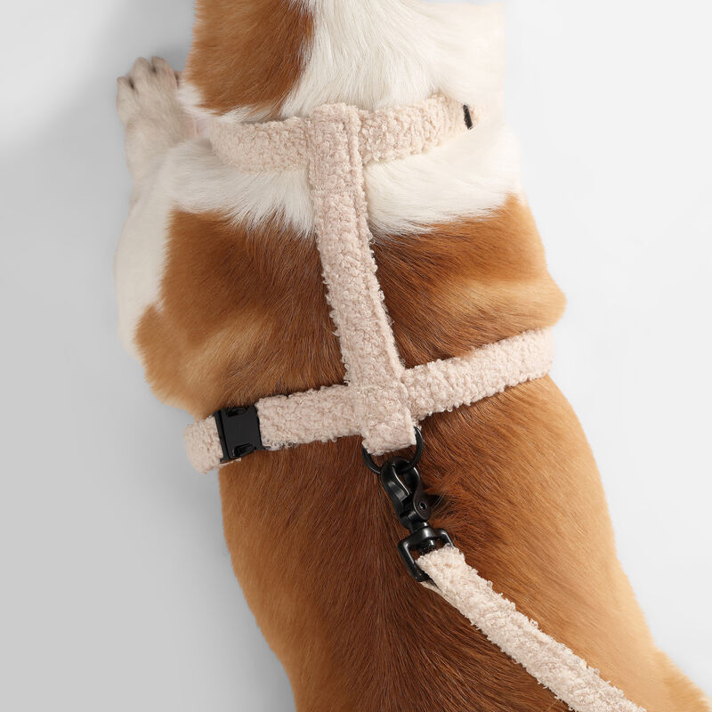 Teddy  Boucl&eacute; Adjustable H Harness and Leash Walk Set with Poop Bag Pouch
