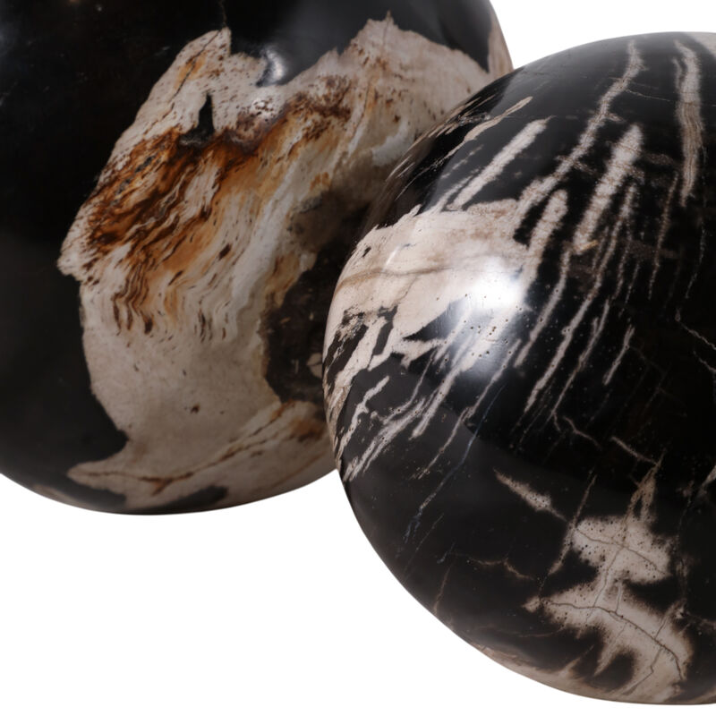 S/2 5/6" Petrified Wood Orbs image number 5