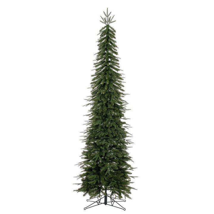 Tacoma Fir 1574Tips
