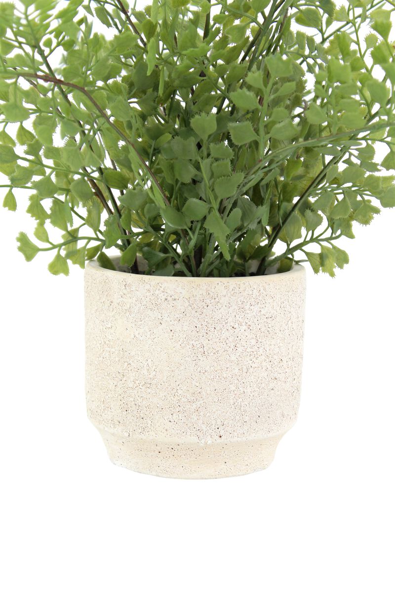 16" Faux Snake Plant & Fern Set image number 5