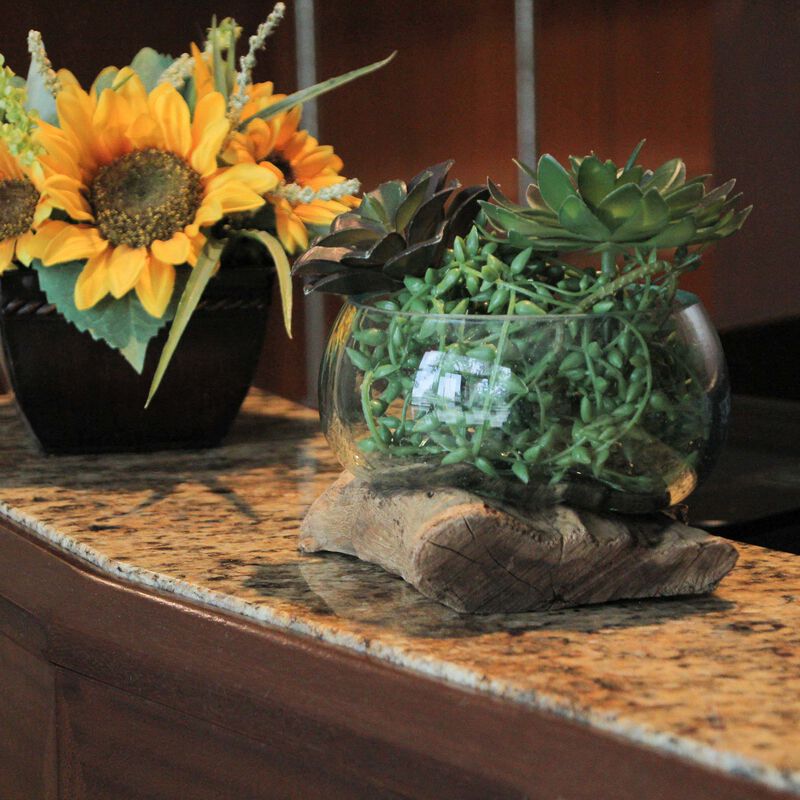 Medium Wide Molten Glass on Teak Driftwood Sculptural Vase and Bowl image number 7
