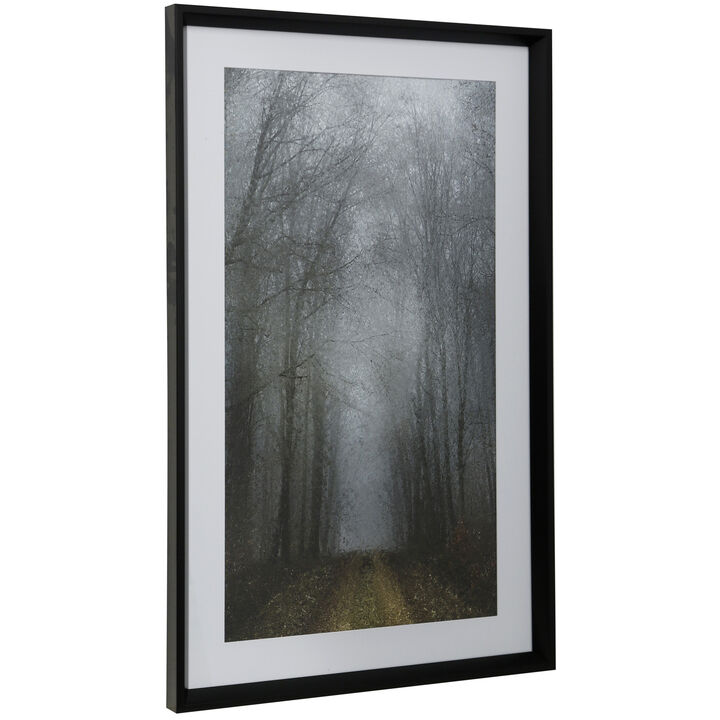 Moonlight Mist Framed Print