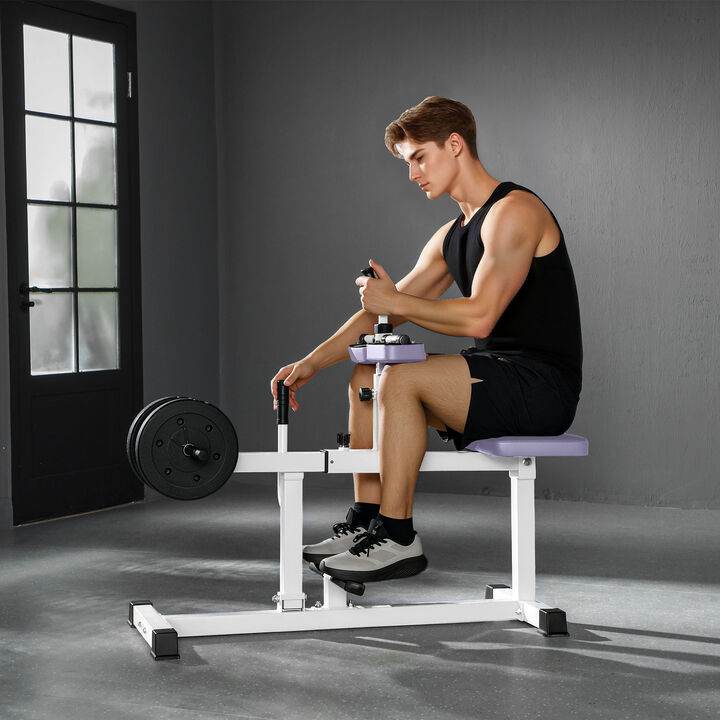 Hivvago Adjustable Seated Calf Raise Machine