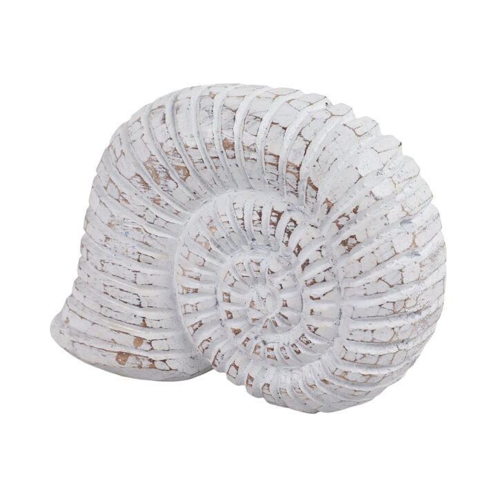 9" Wooden Snail Decor, Wht