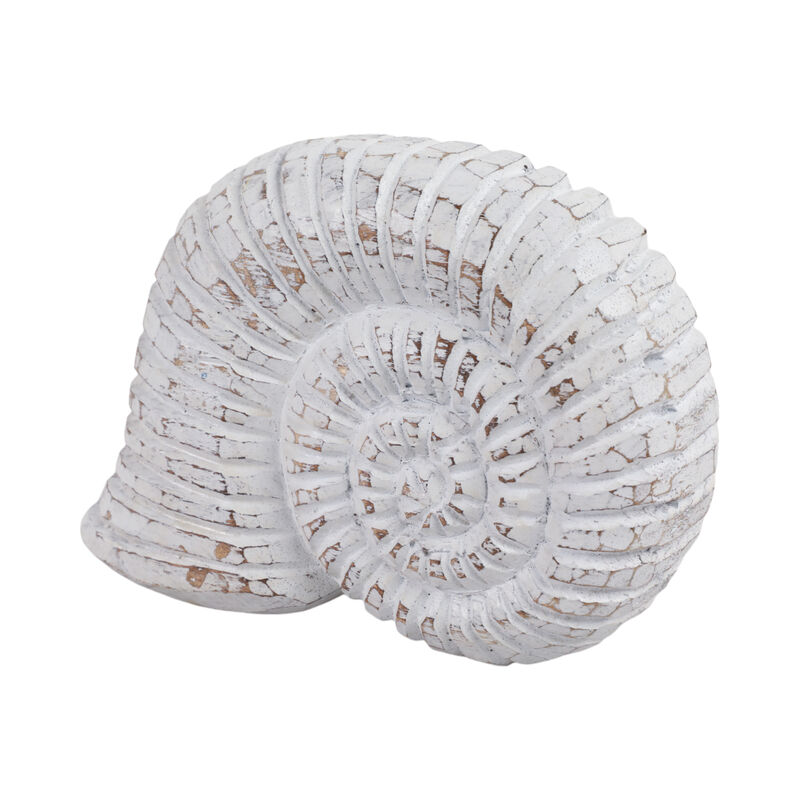 9" Wooden Snail Decor, Wht image number 1