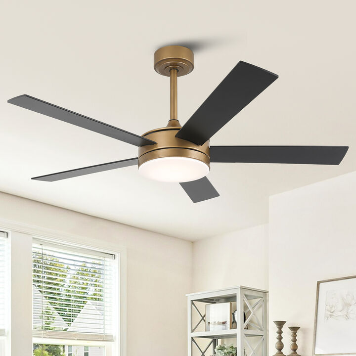 48" Modern Gold Reversible Dimmable Smart 5 Blade Ceiling Fan with APP Control and Remote, Light