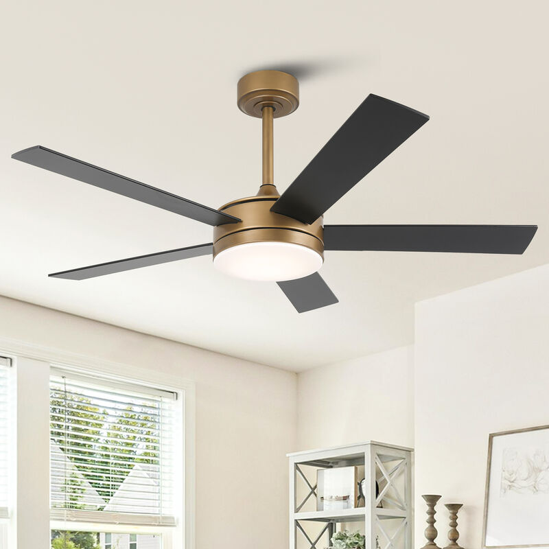 48" Modern Gold Reversible Dimmable Smart 5 Blade Ceiling Fan with APP Control and Remote, Light