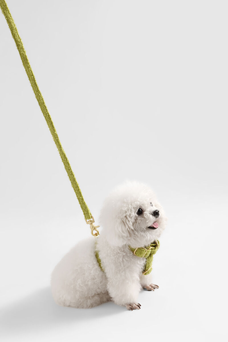 Teddy Bouclé Adjustable H Harness and Leash Walk Set with Poop Bag Pouch