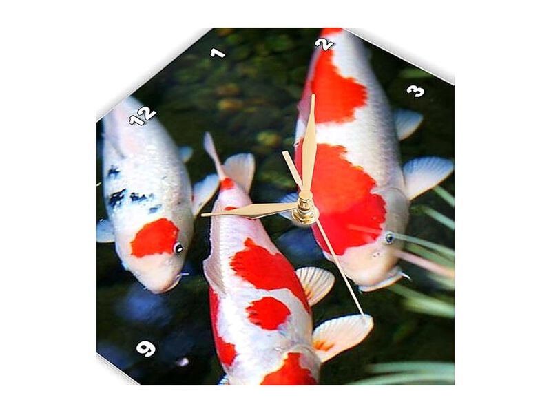 Japanese Orange White Koi Fish Wall Clock 15 Inch Home Decor image number 3