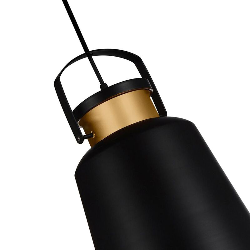Elisa 1 Light Down Pendant With Black Finish