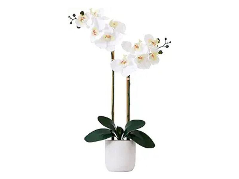 Artificial Orchid Flowers Real Touch Vase Filler 26in Double image number 0
