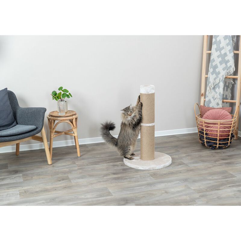TRIXIE Rue Sisal & Plush 31.5" XXL Cat Scratching Post for Large Cats, Plush Base image number 1