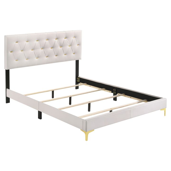Lif Platform Queen Size Bed, Panel Tufted Headboard, Gold Legs White Velvet-Benzara