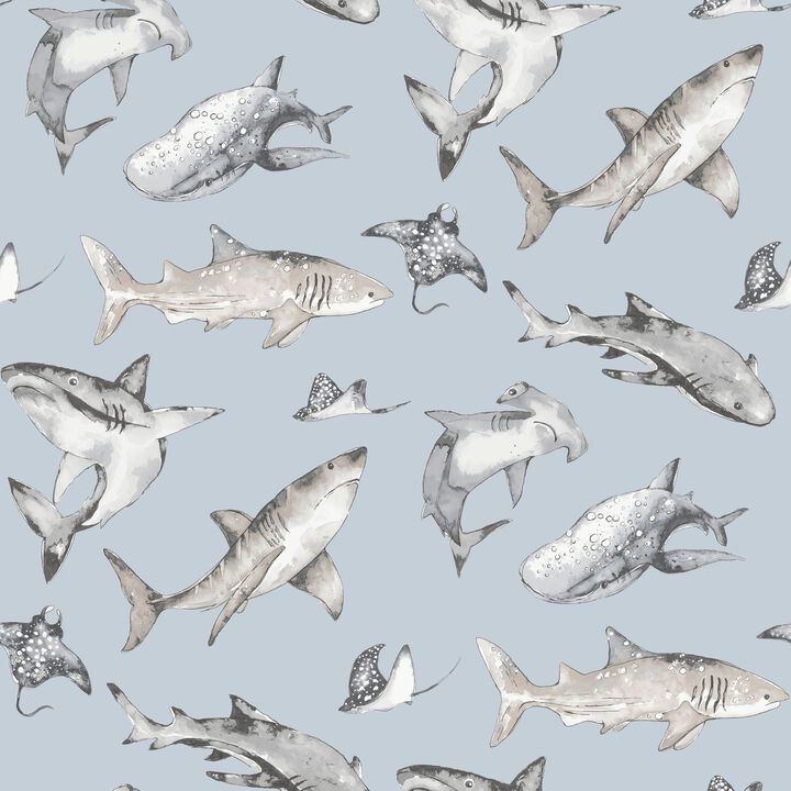 Kids and Teens Sharks Blue Wallpaper G78590
