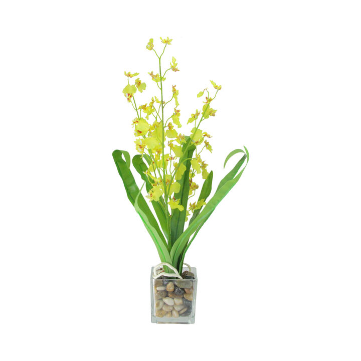 23.5" Green and Yellow Potted Artificial Orchid Flower Plant
