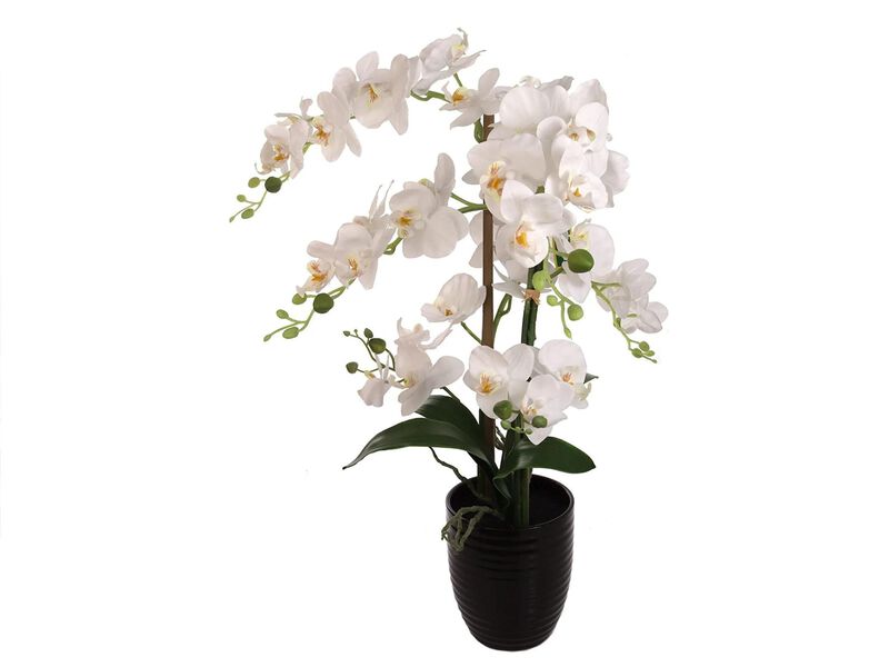 Larksilk 25 Inch Phalaenopsis Orchid with Black Ceramic Vase - Stunning Lifelike Silk Orchid Flower Arrangement - 17” Diameter - Elegant Home & Office Decor