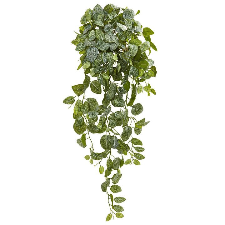 Nearly Natural 36-in Fittonia Artificial Hanging Bush (Set of 2)(Real Touch)
