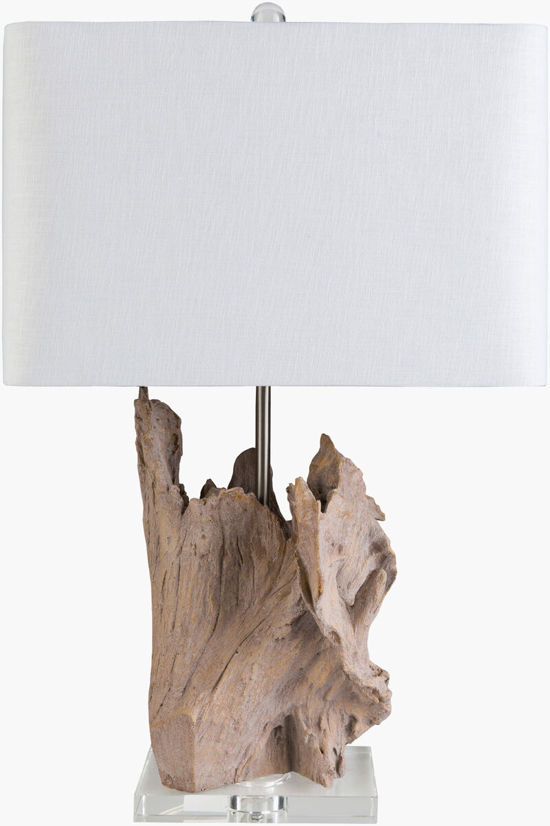 Darby Accent Table Lamp image number 0