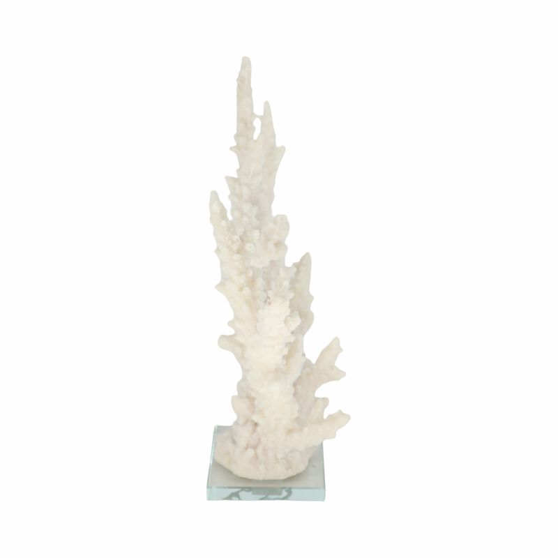 14" Branching Coral On Glass Base, White image number 2