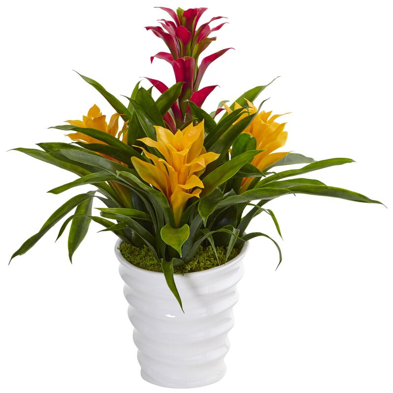 Hivvago Bromeliad in White Swirl Vase