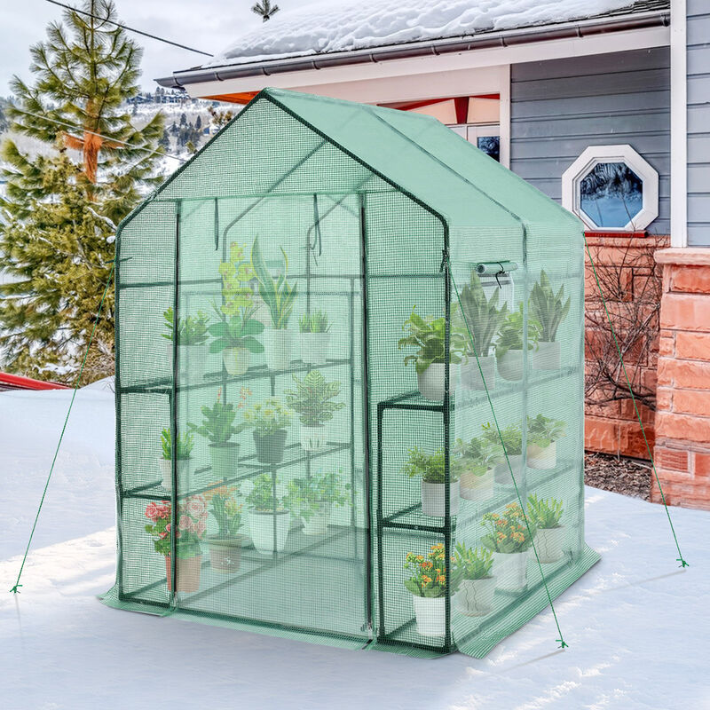Walk-in Greenhouse 56 x 56 x 77 Inch Gardening with Observation Windows
