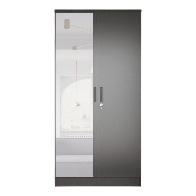 Mirrored 2 Door Wardrobe in Black Color