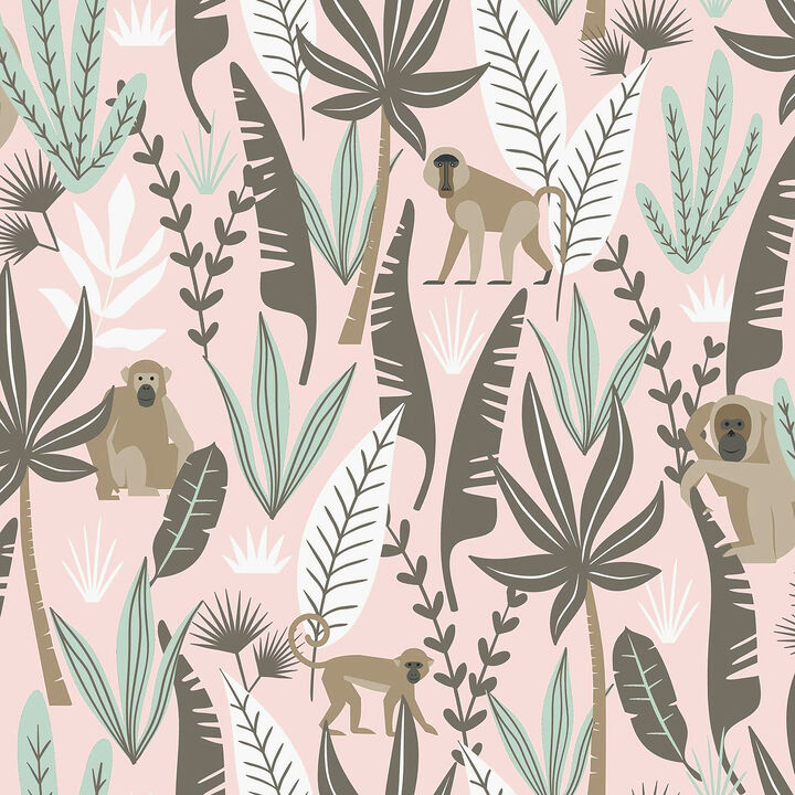 Kiki Pink Monkeys Wallpaper