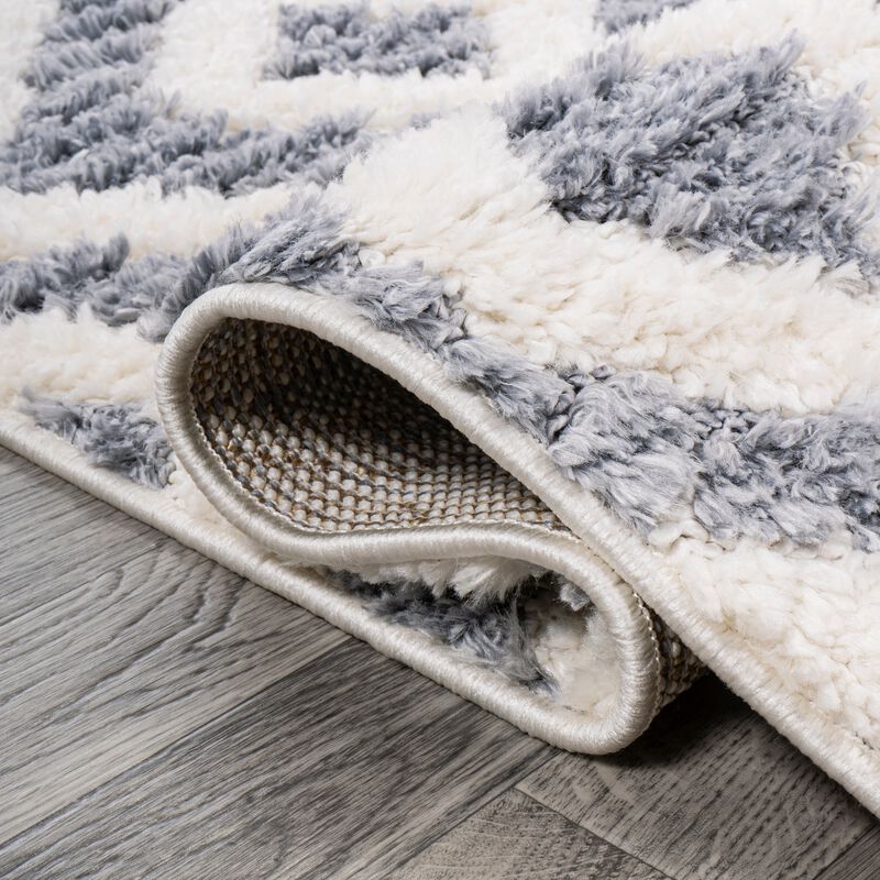 Astrid Retro Trellis High-Low Area Rug