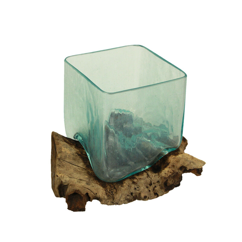 Teak Driftwood Glass Square Vase/Bowl - 8" High - Nature-Inspired Decor image number 0