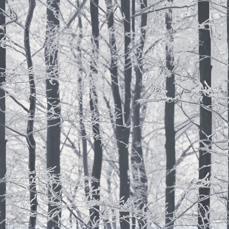 Frosted Silver Winter Grove Wallpaper image number 0