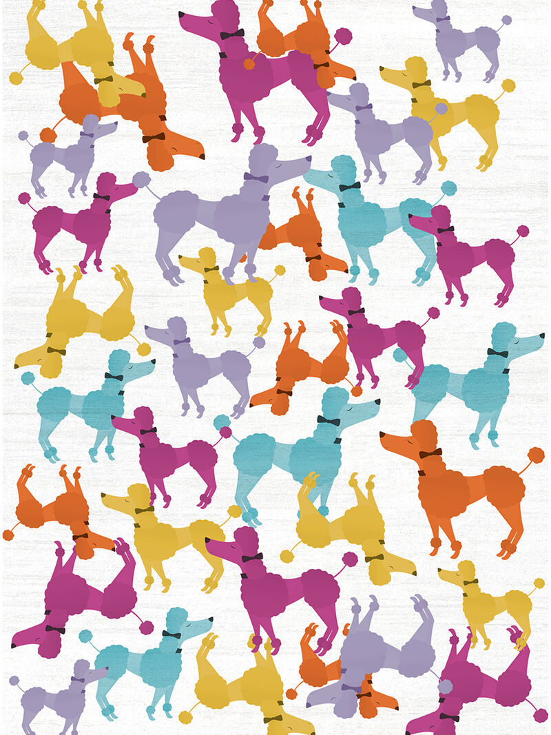 Imagination IMA20 Ivory/Multicolor 5' x 7' Rug