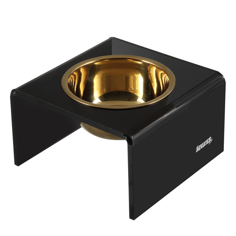 Keaton Modern Acrylic Rectangular Elevated Pet Feeder with Stainless Steel Bowls