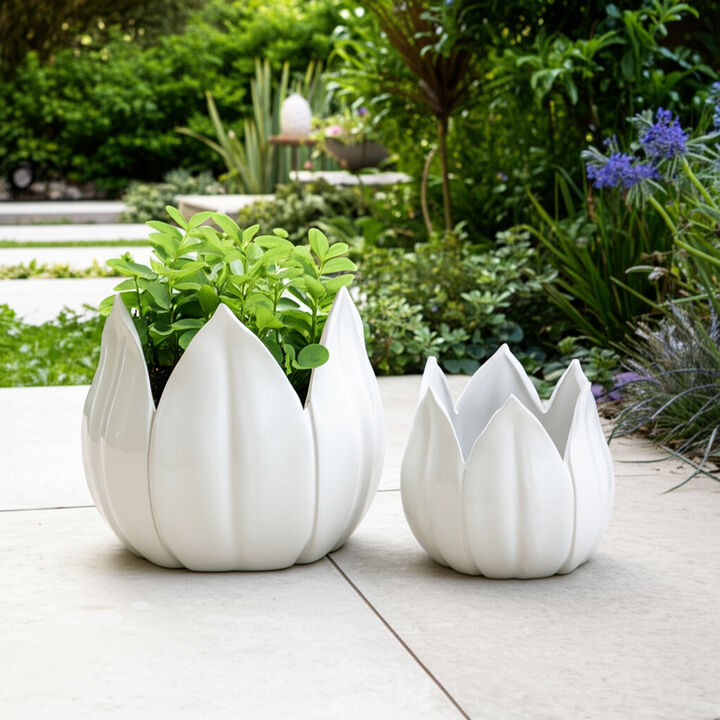 Tulip Petal Planter Pot (Set of 2)