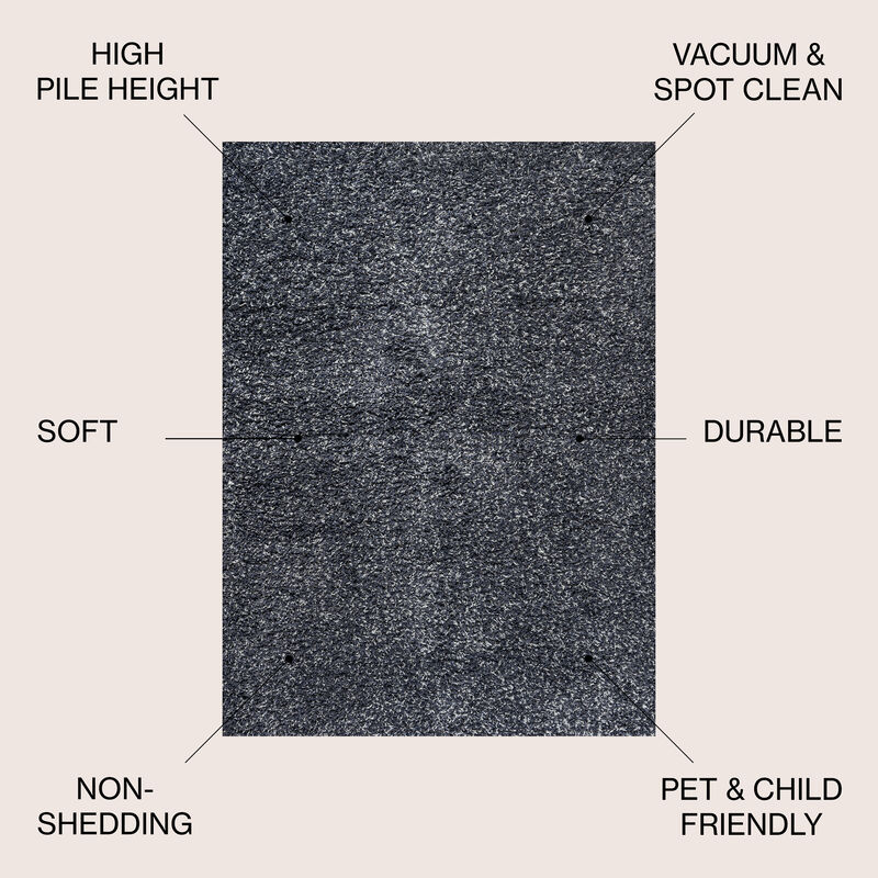 Mercer Shag Plush Area Rug