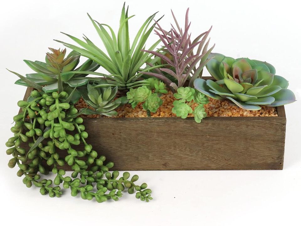 Succulent Arrangement in Planter Box, 12 Unique Styles, Realistic Potted Plants, Kitchen Tabletop Accents, Parties & Events, Home & Office Decor