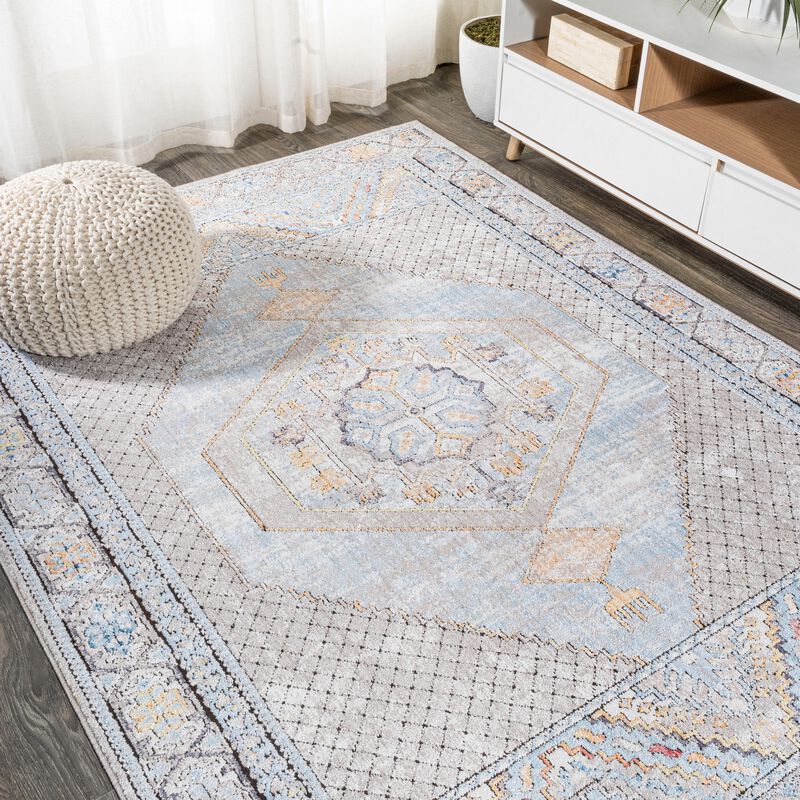 Izmit Geometric Vintage Medallion Area Rug