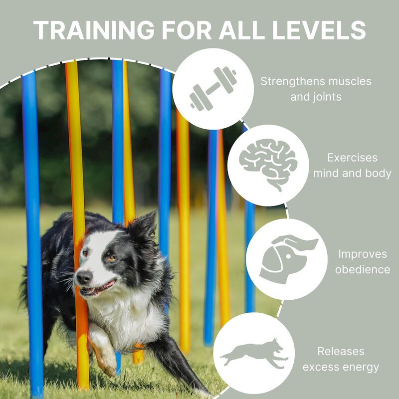 TRIXIE Dog Agility Slalom Set, 12 Piece Weaving Poles image number 3