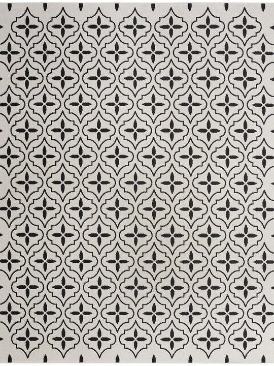 Nourison Essentials NRE04 Ivory/Black 6' x 9' Rug