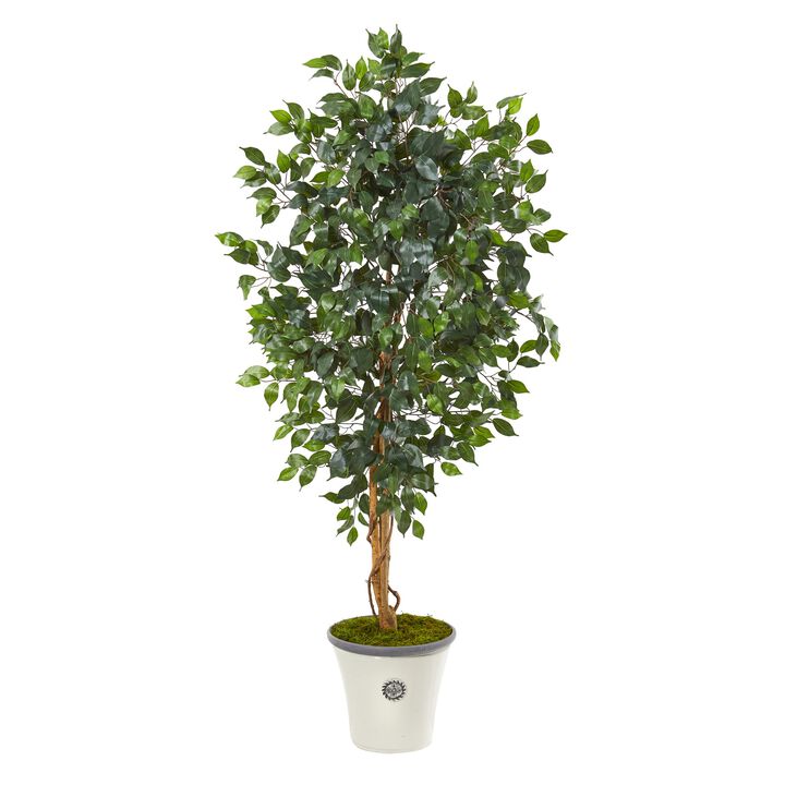 HomPlanti 65 Inches Ficus Artificial Tree in Decorative Planter