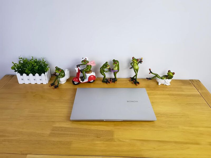 Frog Figurines Decor image number 6